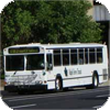 Maple Grove Transit
